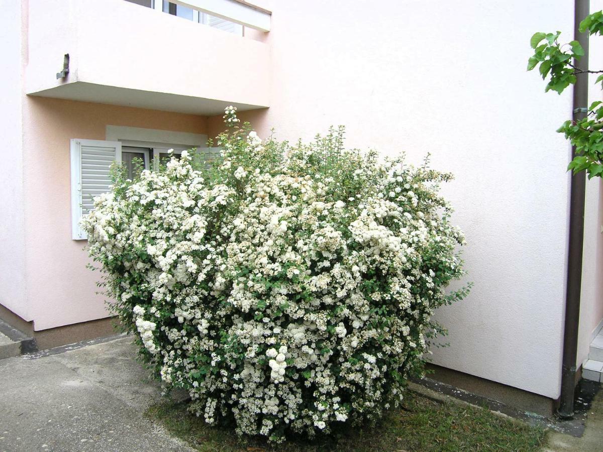 Apartments Sokolovic Krk Town Esterno foto